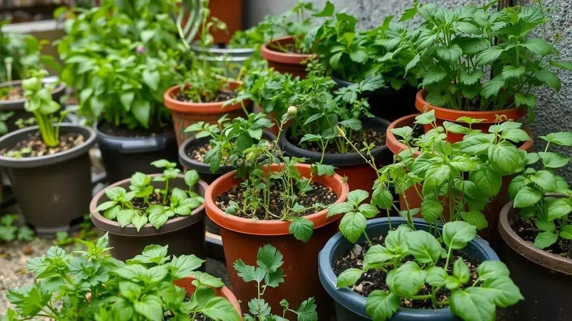 Jardim funcional até em apartamentos