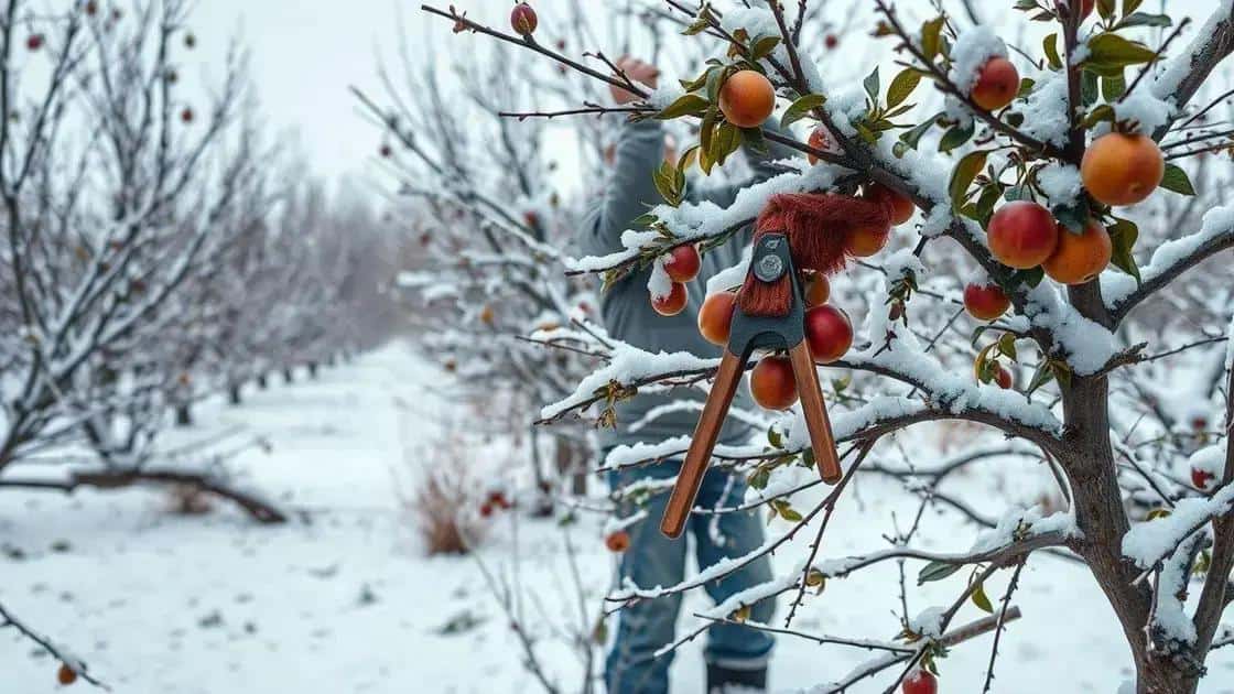 Poda de Inverno: O Método que Faz suas Árvores Frutíferas Produzirem 40% Mais na Próxima Temporada