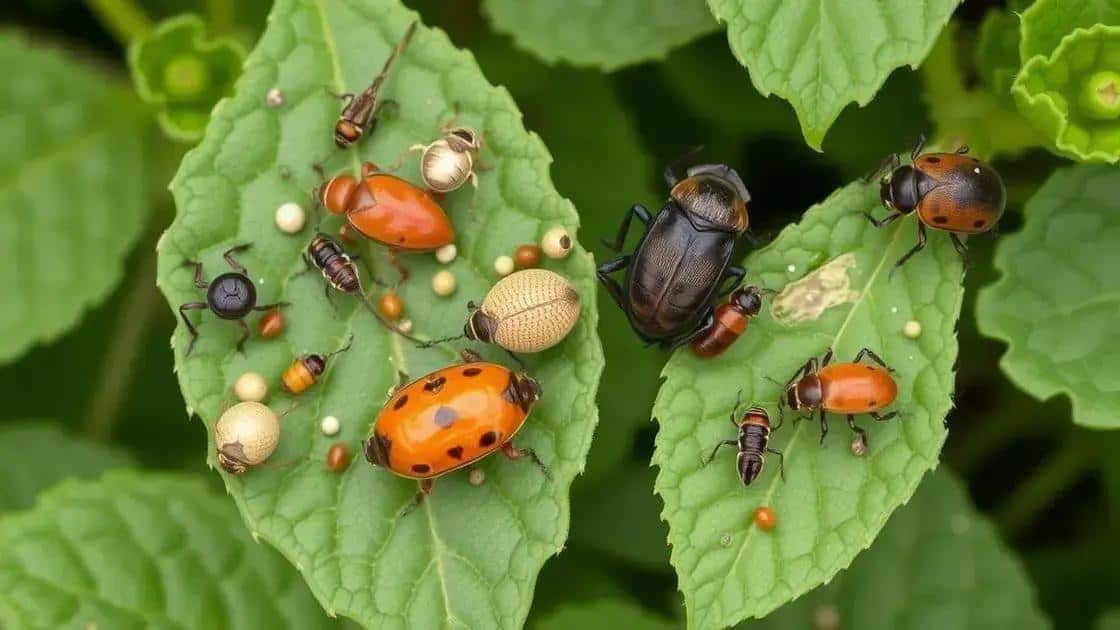 Pragas mais comuns: descrição e danos