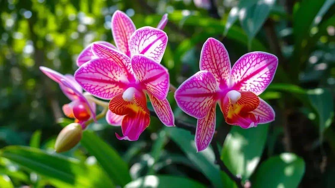 Orquídeas Sobreviventes: Guia Minimalista para Manter suas Orquídeas Vivas por Anos