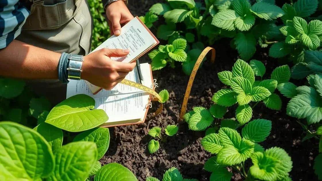 como observar o crescimento das plantas