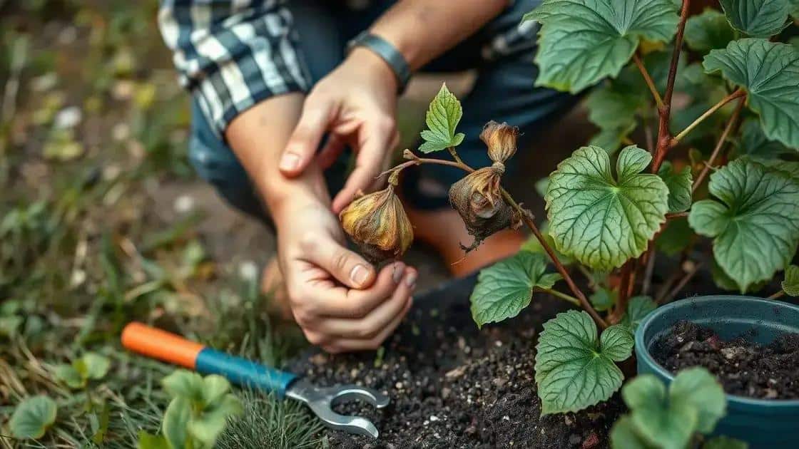 Socorro verde: salve suas plantas debilitadas