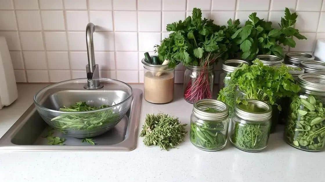 Cuidados pós-colheita e utilização das ervas