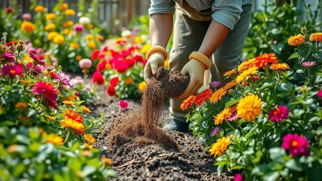 dicas de adubação simples para iniciantes