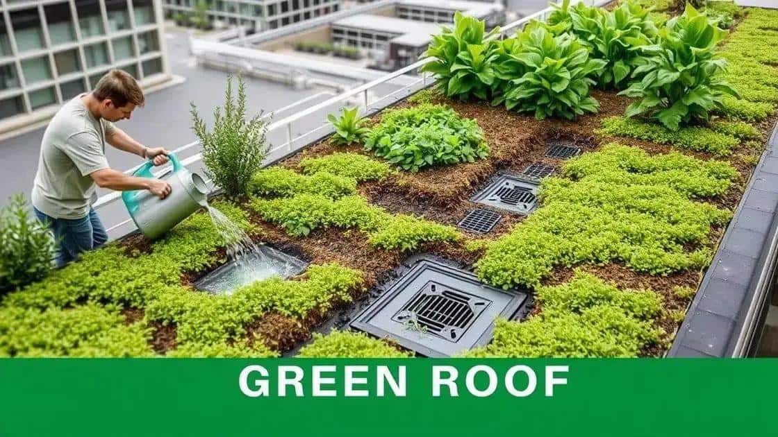 Cuidados e manutenção do telhado verde