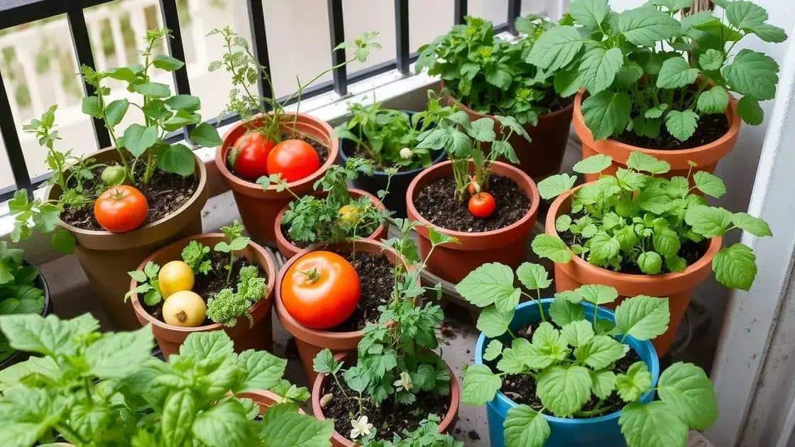 Passo a passo para plantar legumes e hortaliças em vasos