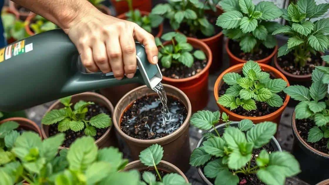 Dicas para regar corretamente suas plantas