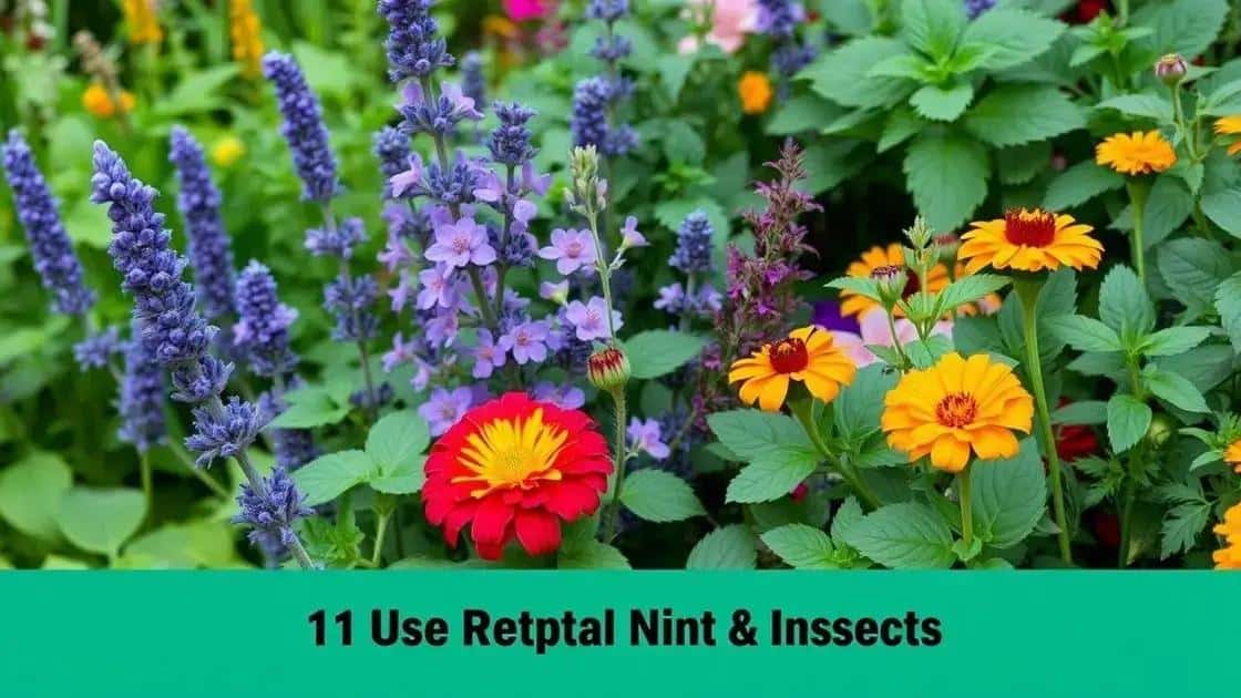Plantas que afastam insetos: o que plantar no seu jardim