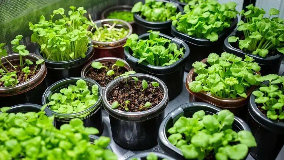 Microjardim Produtivo: Como Cultivar Microverdes que Estão Prontos em Apenas 7 Dias