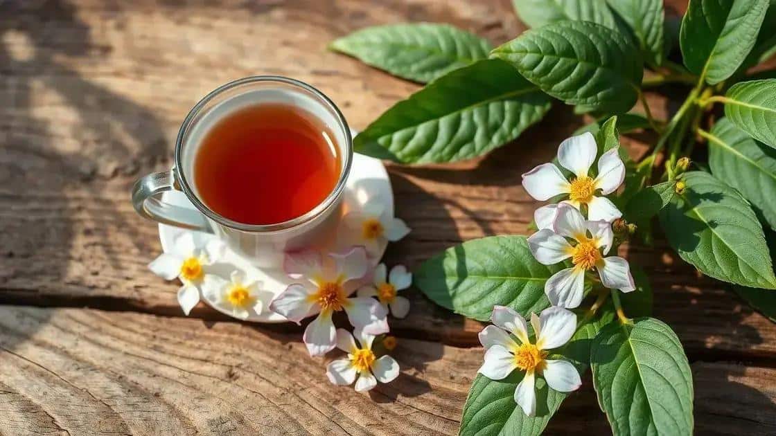 Receita natural com ervas cultivadas em casa