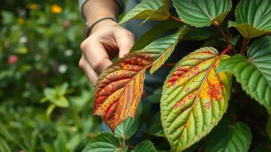 Identificando sinais de plantas quase mortas Identificando sinais de plantas quase mortas