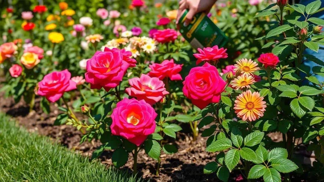 Cuidados básicos para reviver suas plantas Cuidados básicos para reviver suas plantas